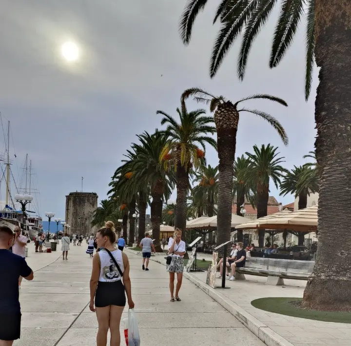Havnepromenaden med palmer i Trogir